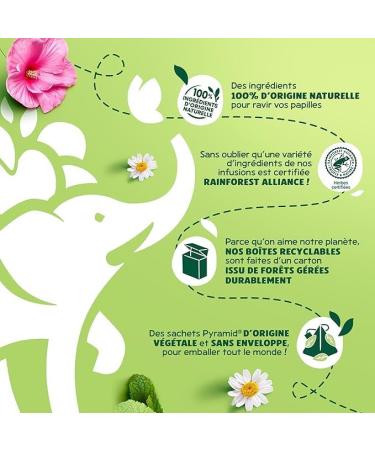 Elephant Infusion Aromatis e Go t Fruits Rouges & Touche de Menthe Certifi Rainforest Alliance Ingr dients d'Origine 100% Naturelle 120 Sachets Pyramid - Buy Online on GoSupps.com