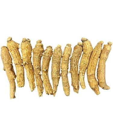 Hand-Selected A Grade American Ginseng Medium Thin-Short Size (4 Oz. Bag) 4 Ounce (Pack of 1) - Buy Online on GoSupps.com