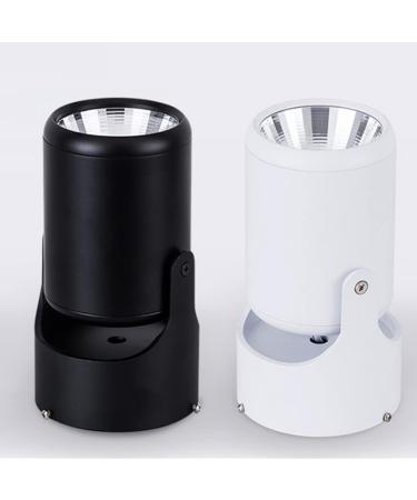 GRIRIW Monkey Wrench Tool Spotlight Ceiling Downlight Spot Light Adjustable Ceiling Light Small Wall Lamp Sushi Stencil Black Size 4 - Buy Online on GoSupps.com