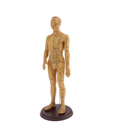 YIJU Human Acupuncture and Moxibustion Female Male Model Figurine Teaching Toys - 50CM Male Soft