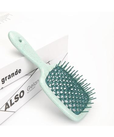 Comb 1 Piece Of Wide Tooth Air Cushion Comb Salon Scalp Massage Comb Brush Wide Tooth Comb (Color : Green) - Buy Online on GoSupps.com