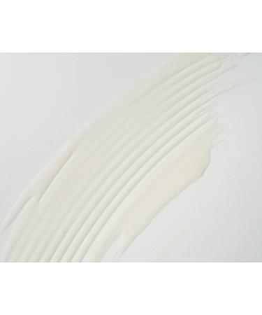 Mini Signature Shampoo - Vegan Color-Treated Hair Care Sulfate & Paraben Free TSA Approved - Shop Internationally - Buy Online on GoSupps.com