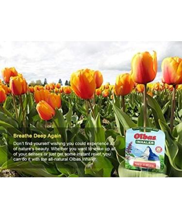 Olbas Inhaler 0.01oz - Fast-acting Nasal Decongestant (Pack of 1) - Buy Online on GoSupps.com