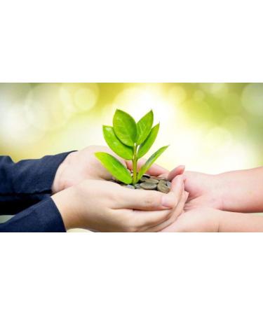 ADAPTOGEN Supplement - Astragalus Root Rhodiola rosea Holy Basil Leaf Amla Fruit Eleutherococcus senticosus Schisandra Fruit Panax Ginseng Maca Adaptogen Blend Natural 3Bot - Buy Online on GoSupps.com