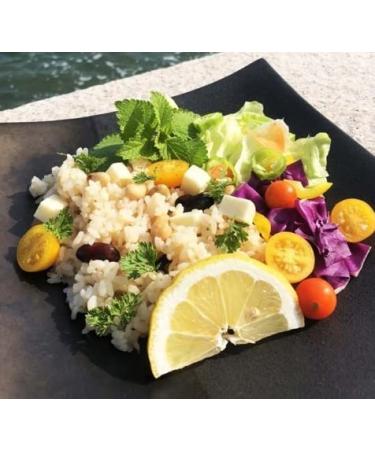 Pure Red Vinegar 17 fl oz - Coarse Filtered & Brewed for Edomae Sushi - Made in Japan - Buy Online on GoSupps.com