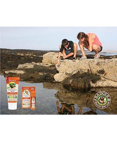 Badger SPF 35 Clear Zinc Kids Sunscreen Stick - Tangerine & Vanilla, .65 oz - Buy Online on GoSupps.com