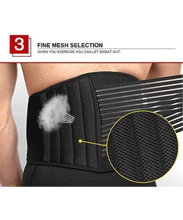 ZWEBY Back Brace Support Belt | Lumbar Support for Lifting Back Pain Relief Sciatica Scoliosis & Herniated Disc - Buy Online on GoSupps.com
