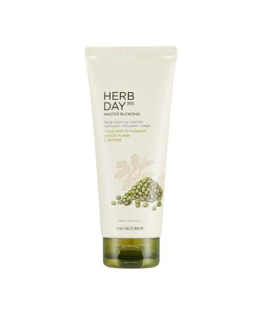 The Face Shop Herb Day 365 Master Blending Cleansing Foam Mung Bean & Mugwart | Protein & Essential Minerals Enriched for Skin Smooth & Clean | Skin Residues Removal & Naturally Derived  5.7 Fl Oz - Buy Online on GoSupps.com