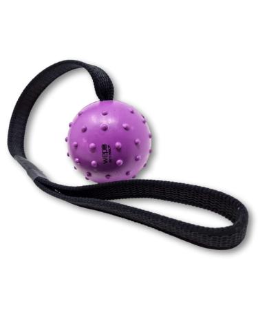 Wepo Dog Ball with Cord Lila - Dog toys outside - Dog training accessories - Wurf toy dog - Dental care Ball Massages gums & teeth - for training & playing