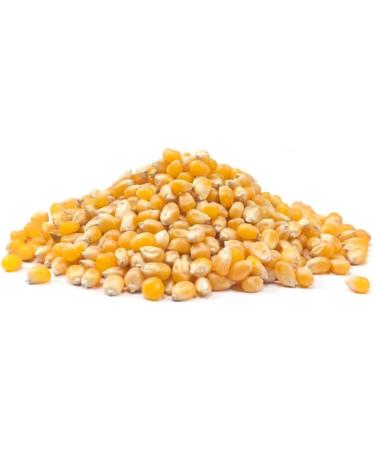 Organic Popping Corn 1kg by Manor Springs Organic - Buy Online on GoSupps.com