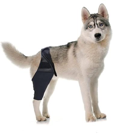 BELLIFFY Dog Foreleg Brace Puppy Knee Braces Dog Acl Brace Hind Leg Paws Pet Mesh Fabric Large Dog Elbow Pads S As Shown - Buy Online on GoSupps.com