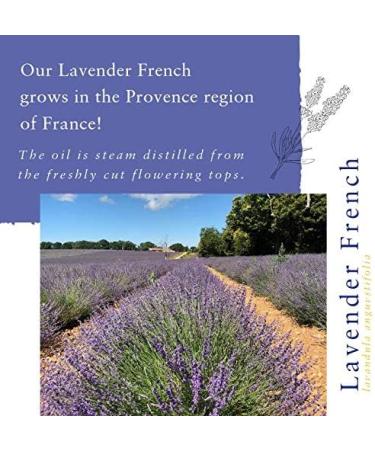 Absolute Aromas Lavender Aroma-Roll Roller Ball - 100% Pure Organic Lavender Essential Oil for Calming and Balancing Effects - Buy Online on GoSupps.com