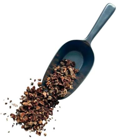 Herbal tea Cypress Crushed nut 1 KILO Cupressus sempervirens - Buy Online on GoSupps.com