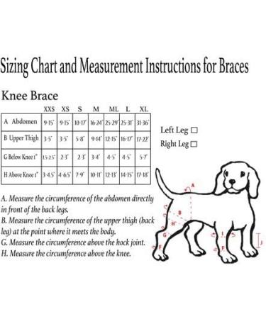 Walkabout canine knee brace (Medium Left) - Buy Online on GoSupps.com