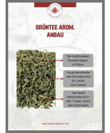  Lerbs & Hagedorn Lerbs & Hagedorn Sencha Forest Fairy Tales Green Tea | Charming Spicy 1kg (approx 81 liters) with mate green tea coconut roses and blueberries - Buy Online on GoSupps.com