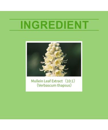 Gouttes d'extrait de feuille de mol ne bio nettoyantes pour poumons extrait de mol ne pour poumons formule naturelle pour homme et femme (1) - Buy Online on GoSupps.com