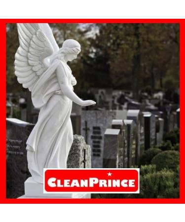 CLEANPRINCE - Gravestone Cleanser Foam Makeup Remover - Buy Online on GoSupps.com