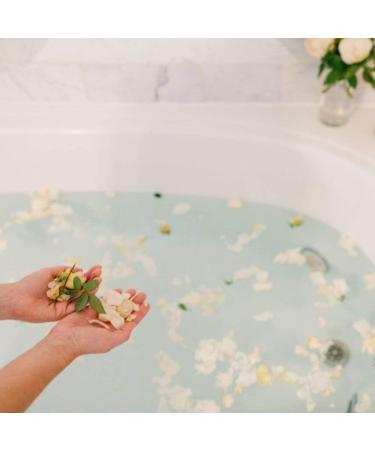 Farmaesthetics Pink Petal Roses Solar Salt Mineral Bath 16 oz - Luxurious Spa Experience for Relaxation | International Shipping Available - Buy Online on GoSupps.com