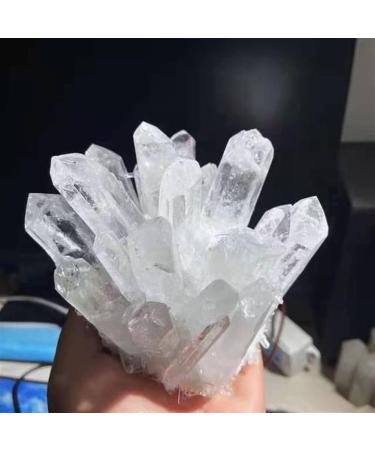 Natural Crystal Rough 1pc 400g-800g Natural Reiki Gemstone Folk Crafts Crystal Stones Clear Quartz Cluster Suitable for Home Crystals QINTINYIN - Buy Online on GoSupps.com
