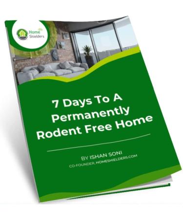 Ultrasonic Smart Rodent Repellent - Get Rid of Mouse, Rat, Spider & Pests in 7 Days - Indoor Pest Control Plug-In - 1 Count - Buy Online on GoSupps.com