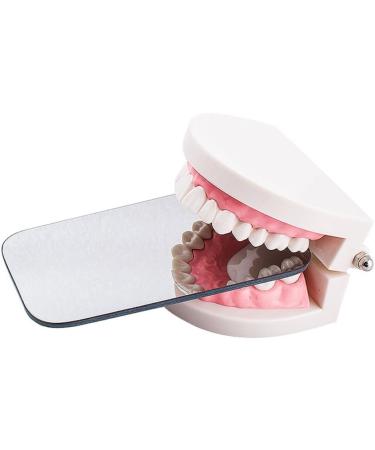 Buy Stainless Steel Orthodontic Reflector Mirrors - 5 PCS Set | Autoclavable & Perfect for Photography | International Shipping - Buy Online on GoSupps.com