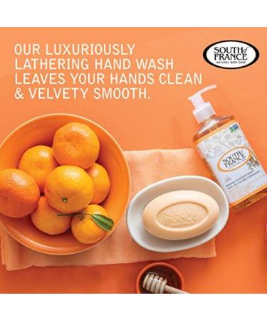 South of France Orange Blossom Honey Hand Wash | Moisturizing Liquid Soap with Mediterranean Sea Algae | 8 oz Pump Bottle - Pack of 6 - Buy Online on GoSupps.com