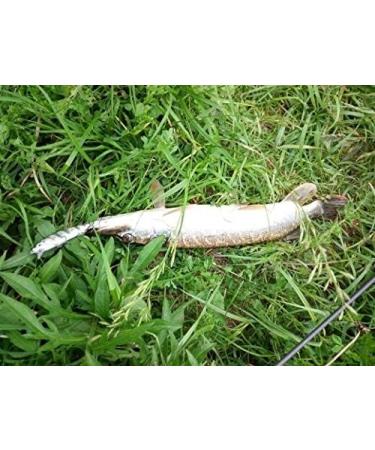 ELBFANG Zander Pike Wobbler Set - 4 Natural Color Shallow Running Lures for Predatory Fish - International Shipping Available - Buy Online on GoSupps.com