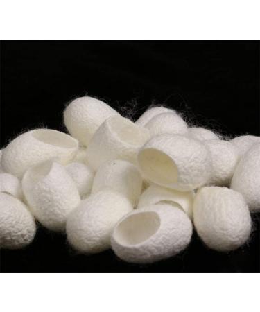 WOIWO 20 PCS Facial Cleanser With Natural Beauty Wash Face Cut Mouth Cocoon Shell Silk Ball