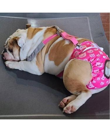 Cutebone Washable Dog Diapers 3-Pack | Waterproof Puppy Pants - Valentine's Day Rose Collection for Heat Period - L Size (51-68.5cm) - Buy Online on GoSupps.com