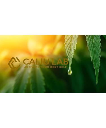 Gummies de Cr atine 3000 mg Bonbons m cher de cr atine monohydrate Gummies de cr atine haute concentration 90 gummies pour 3 mois Sans sucre Saveur citron - Buy Online on GoSupps.com