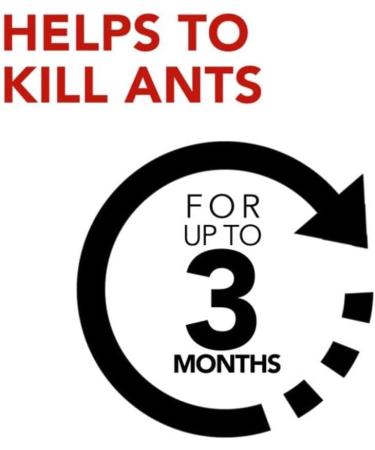 Raid Ant Killer Baits And Traps For Indoor Use Child Resistant 4 Count Trap 4 Count - Buy Online on GoSupps.com