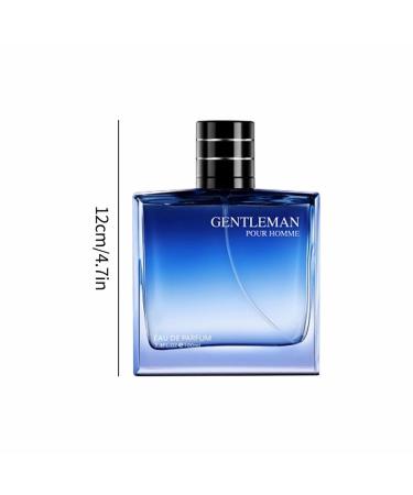 VEFSU Men's Perfume Fragrance Spray 100ml Travel Fresh Long Lasting Perfume For Men To Enhance Charm Fragrance (D One Size) 1 Fl Oz (Pack of 1) D - Buy Online on GoSupps.com