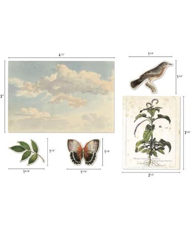 Tim Holtz Idea-Ology Bundle: Organic Layers TH94316 & Collage Layer Frames TH94318 - Spring 2023 Release - Buy Online on GoSupps.com