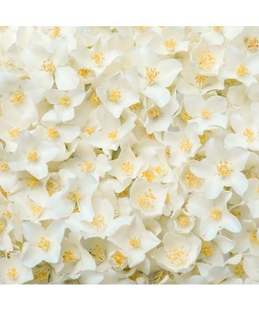Zermat Body Mist bouquet the Jazmin body spray for Women - Hydrating Floral Fragrance -8.35 Fl. Oz - Buy Online on GoSupps.com