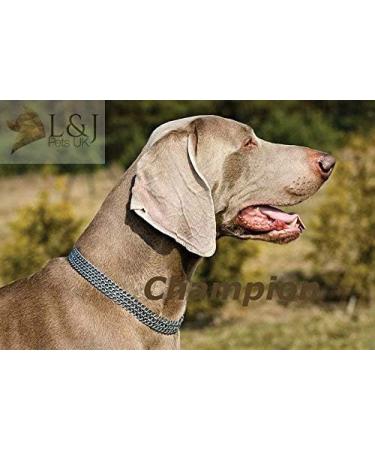 Champion-L&J Pets UK Chain Dog Collar Strong Chrome 2 & 3 Rows Slip Semi-Check Strong Half Check Dog Choker Chain Training Collar (3 Rows 45cm (17.5in)) 3 Rows 45cm (17.5in) - Buy Online on GoSupps.com