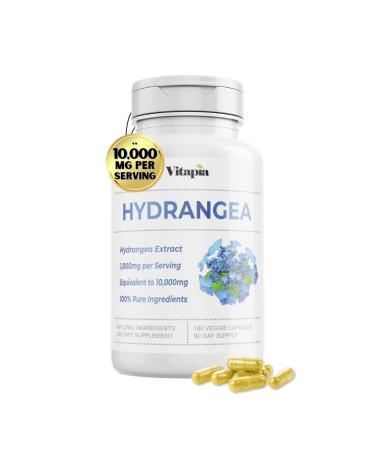 Organic Hydrangea Extract Capsules 10 000mg for Urinary Tract Kidney Antioxidant Metabolism Skin Health Support - 10:1 Ratio & 180 Veggie Capsules - Non-GMO Gluten-Free Vegan 180 Count (Pack of 1)