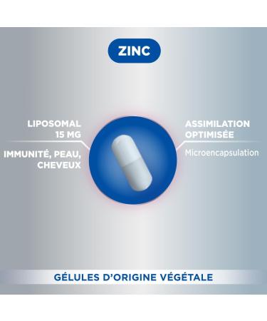 Fort Pharma Zinc Liposomal 15mg | Dietary Supplement Skin Immune Defenses Anti Fatigue Hair & Nail Beauty - Maximum Dosage Optimal Assimilation| 60 capsules 1/day - Buy Online on GoSupps.com