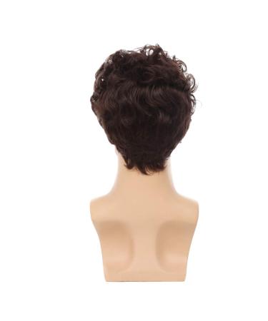 Swiking Men Brown Afro Wig - Short Fluffy Curly Synthetic Hair for Halloween Party Cosplay - Buy Online on GoSupps.com