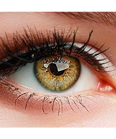 Elfenwald colored contact lenses without strength product range "intense" a few soft color lenses without storage container natural look (ocher/light brown)