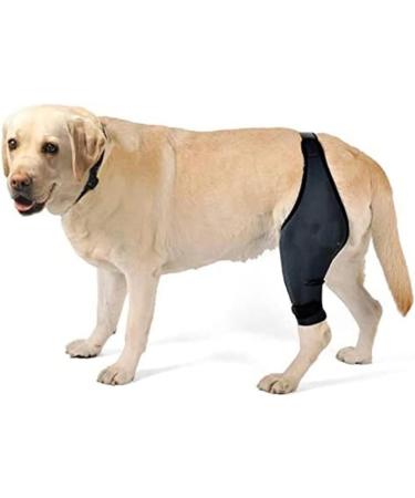 ORFOFE Puppy Knee Leg Supplies Dog Leg Braces for Hindleg Dog Leg Cover Knee for Dogs Dog Knee Cover Dog Injured Knee Dog Foreleg Brace Dog Leg Knee S As Shown - Buy Online on GoSupps.com
