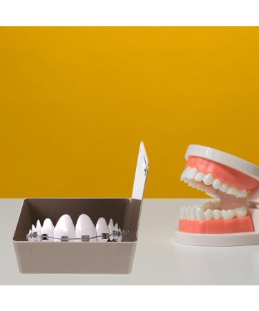 Beaupretty Night Guard Box - Plastic Holder for False Teeth Storage & Bath Fixing Grey | International Shipping Available - Buy Online on GoSupps.com