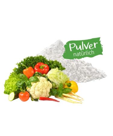 Elli's Aromas Natural Vegetable Powder | 100% Vegan Food Aroma Concentrate for Baking & Cooking | 10g International Shipping - Buy Online on GoSupps.com