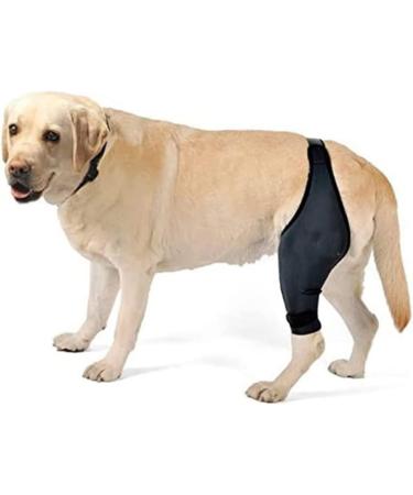 Hohopeti Paw Knee Pads Knee Dog Leg Cover Dog Acl Puppy Leg Dog Supplies Care Strap L 1 - Buy Online on GoSupps.com