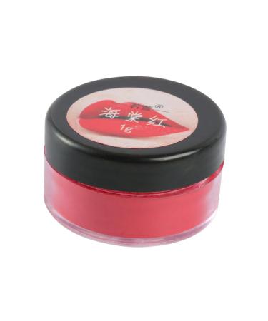 FOMIYES Lipstick Raw Materials DIY Lipstick Powder Lipstick Palette DIY Powder for Lipstick 0.04 Ounce (Pack of 1) As Shown