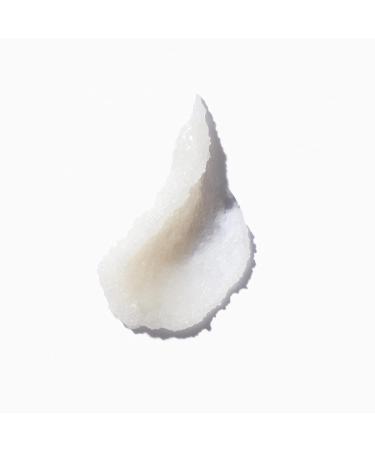 Kerastase Fusio Purifying Scalp Scrub | Nourishing Cleansing Treatment | 8.5 Fl Oz - Buy Online on GoSupps.com