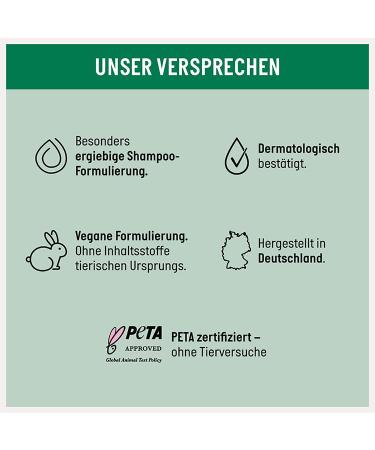 Guhl Silver Shine & Care Treatment 200ml - Anti-Yellow Tint for Grey & Blonde Hair - Buy Online on GoSupps.com