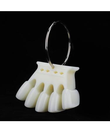 Plastic Nail Art Accessories - 2 Kinds Nail Color Card for Professional Nail Salon | Practice Skills in Natural Colors - Buy Online on GoSupps.com