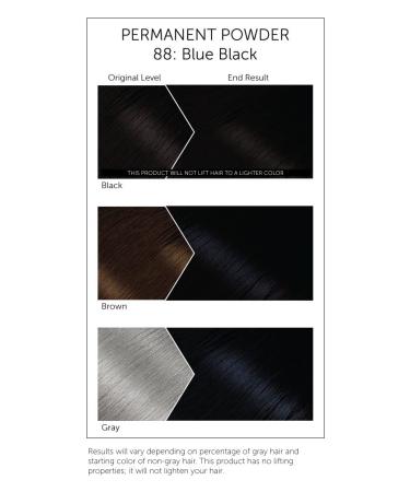 Buy #88 Blue Black Bigen Permanent Powder (3 Pack) - 0.63 Ounce | International Shipping Available - Buy Online on GoSupps.com