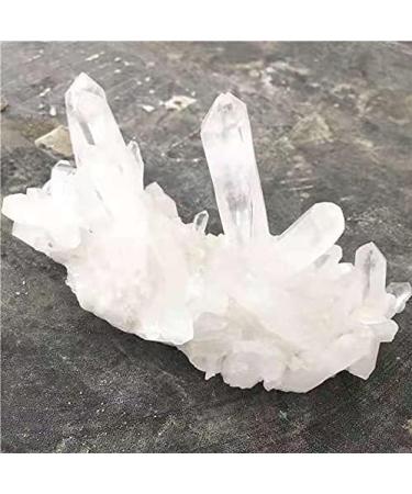 1pc Quartz Natural White Minerals Specimen Crystals Cluster for Stones 500-650g - Buy Online on GoSupps.com