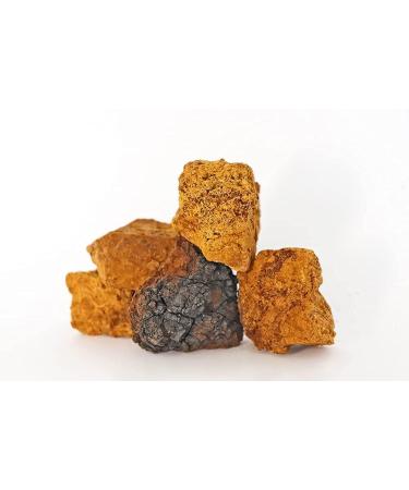 Nutridom Canadian Chaga Mushroom Chunks 225g Wild-Harvested Organically-grown Hand-picked Natural Non-GMO - Buy Online on GoSupps.com